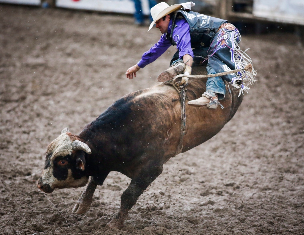 Calgary Stampede rodeo 