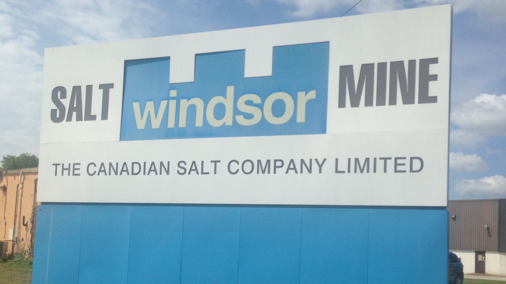Windsor Salt 
