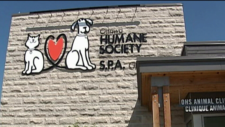 Ottawa Humane Society