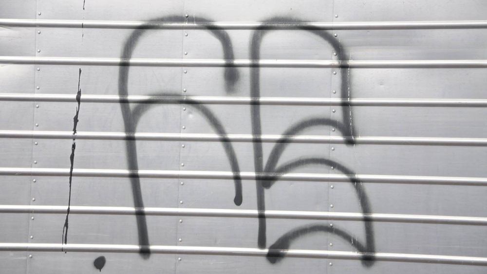 Fredericton graffiti
