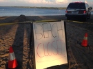 Centennial Beach in Barrie was closed after a teenage boy drowned on Friday August 5, 2016