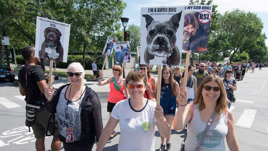 Quebec pit bull ban