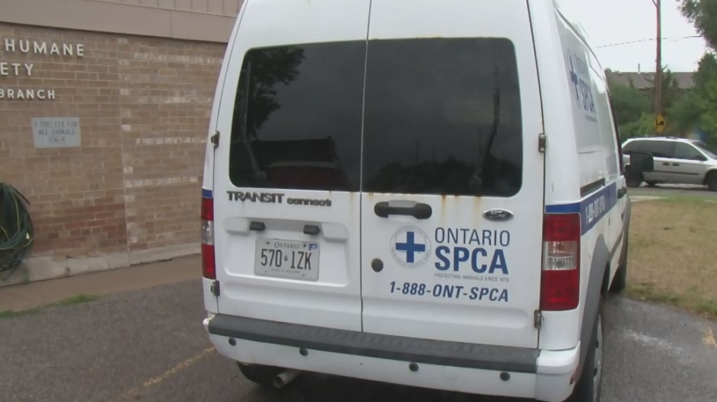 CTV Barrie: Dogs stolen from OSPCA BArrie