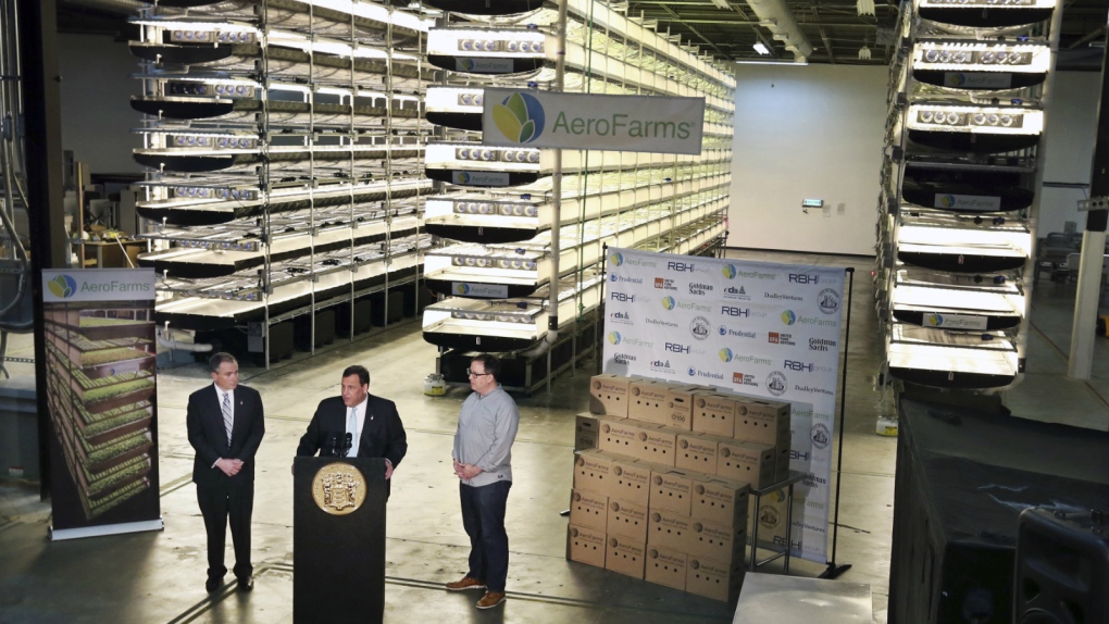 Vertical farm to open in New Jersey