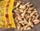 The Canadian Food Inspection Agency has added 17 new American-made peanut products to its growing recall list on Tuesday, Feb. 3, 2009.(AP / U.S. Dept. of Agriculture, Ken Hammond) 