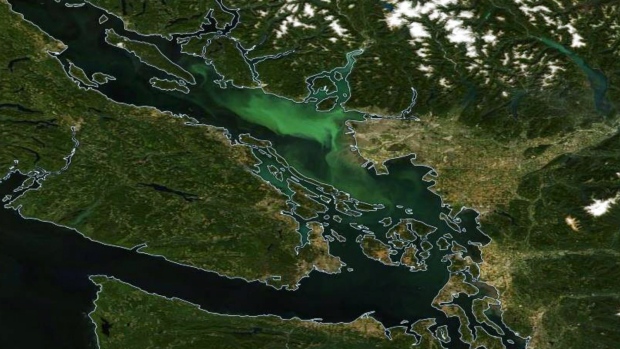 Algae bloom visible from space