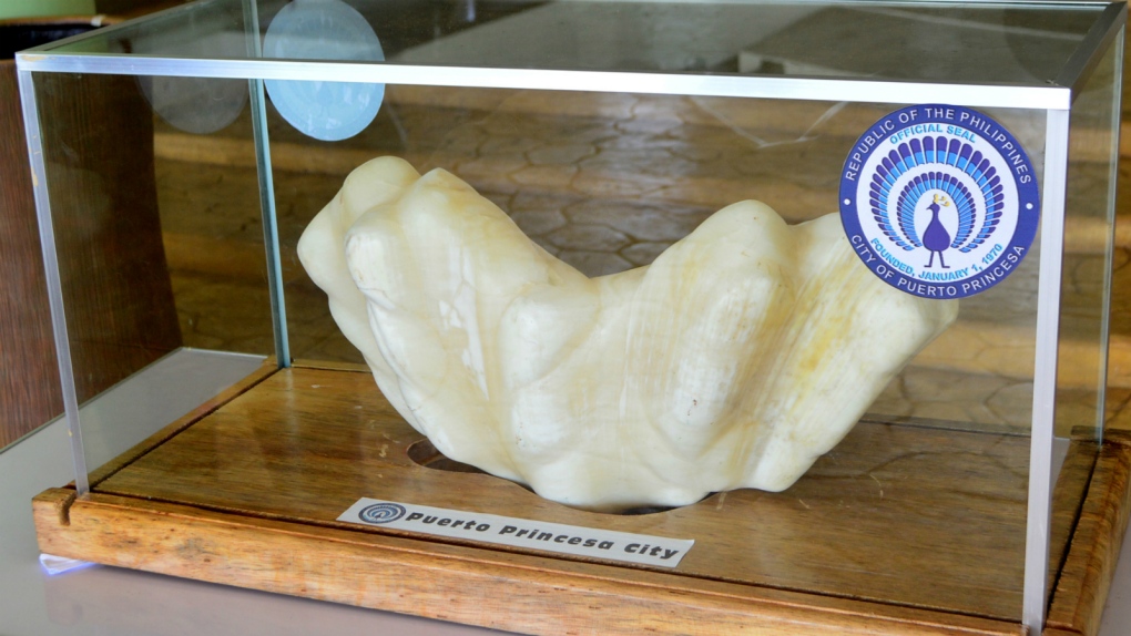 Fisherman finds possibly world's biggest pearl