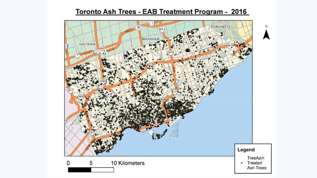 ash tree crisis map