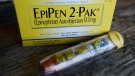 An EpiPen epinephrine auto-injector, a Mylan product, is seen in Hendersonville, Texas on Oct. 10, 2013. (AP / Mark Zaleski)
