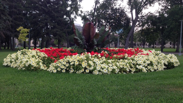 Memorial Park flowers