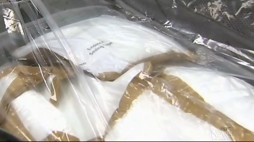 Cocaine found in cruise ship