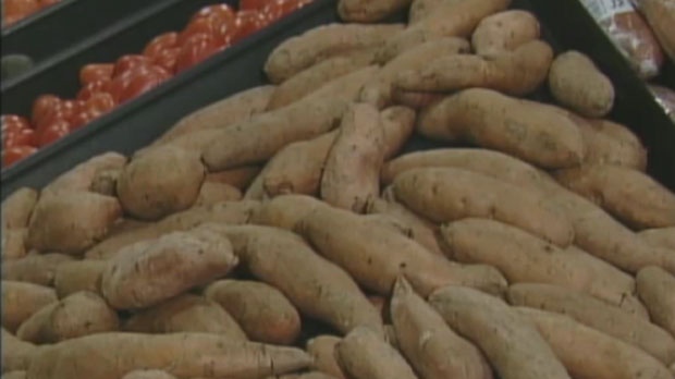 Research site aimed at improving sweet potato yiel