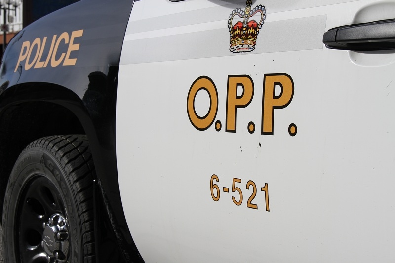 OPP lay charges