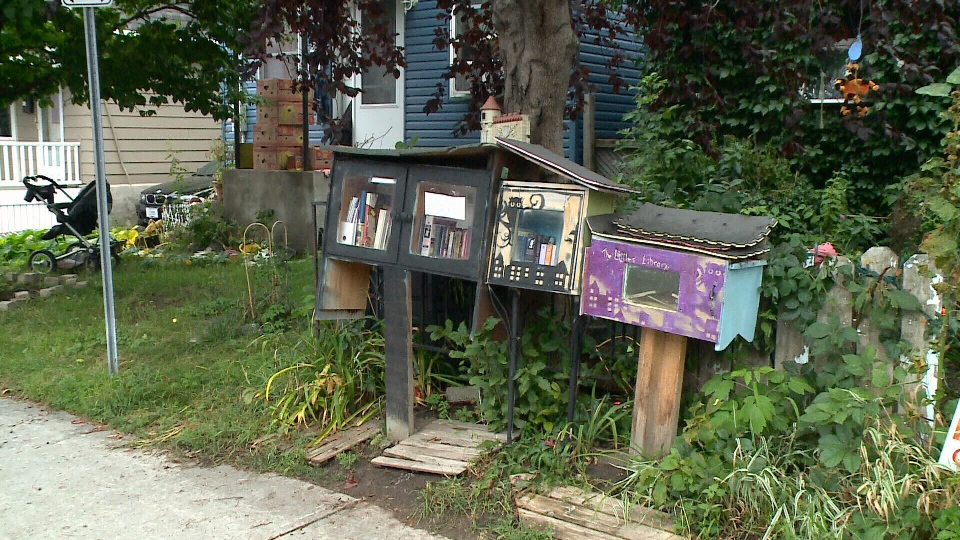 Micro library in Hintonbrug