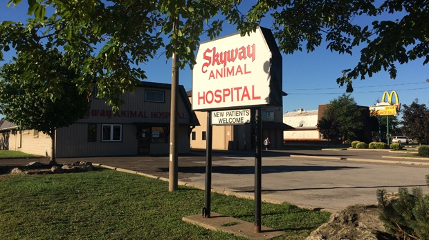 skyway animal hospital