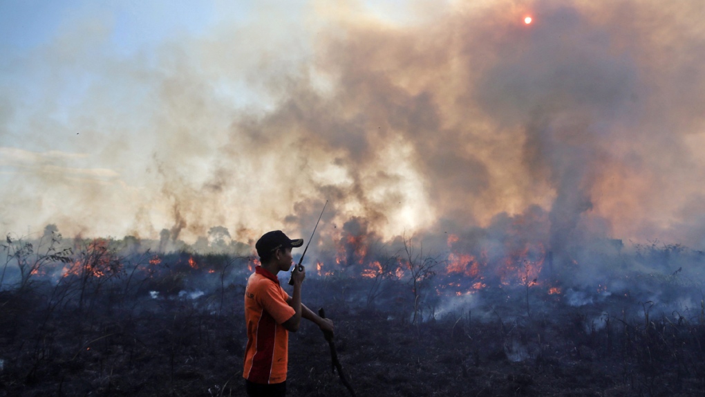 Peatland fire in Pemulutan, Indonesia