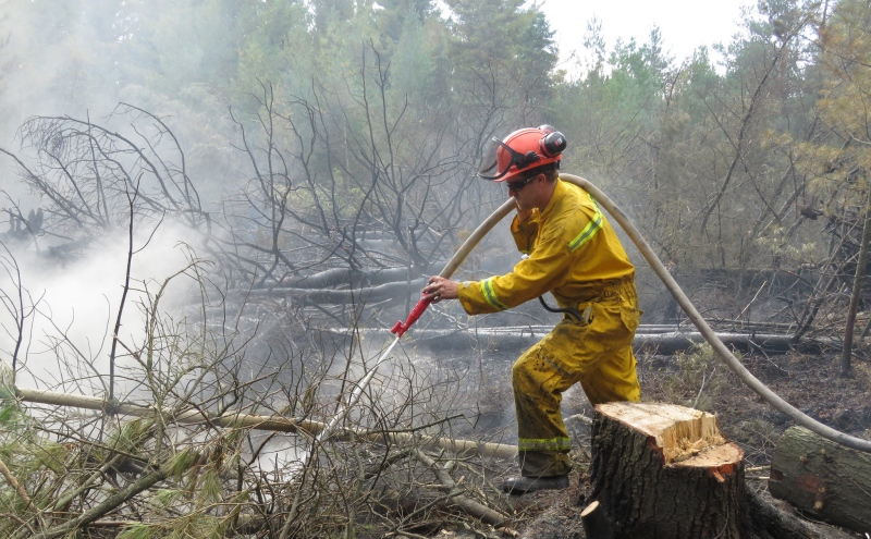 Crews have been working on extinguishing a peat fire in Perth County since the weekend. (Photo Credit: Upper Thames River Conservation Authority)