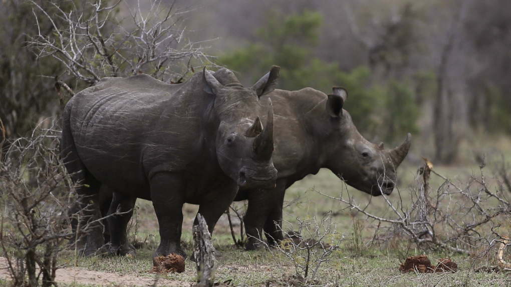 Wildlife parks turn to locals to combat poaching