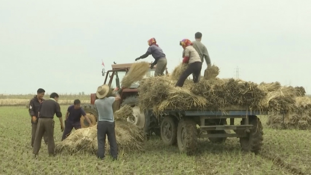 North Korea hopes for better harvest