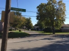 Remington Avenue in Windsor, Ont., on Friday, Oct. 14, 2016. (Michelle Maluske / CTV Windsor)