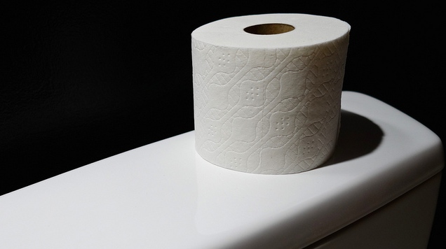 A roll of toilet paper is seen in this undated file photo. (Dean Hochman/Flickr)