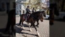 Two Kingston police officers are shown on horseback in this photo shared on Twitter by the Kingston Police Department.