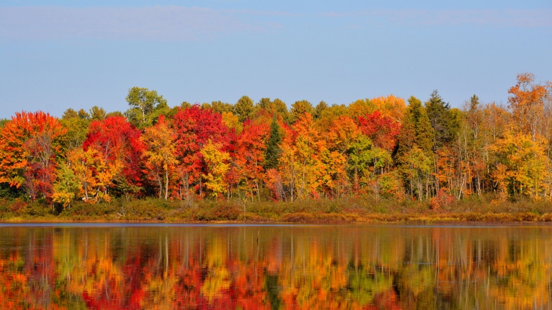 Lots of people drive to Algonquin Park to check out the changing colours on the trees, just like Nathalie Deau did for this 2016 photo.
