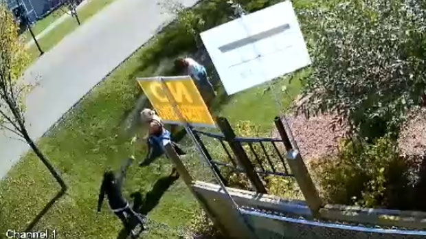 A security camera captured an interaction between neighbours in Airdrie, Alta. who are feuding over a fence. 