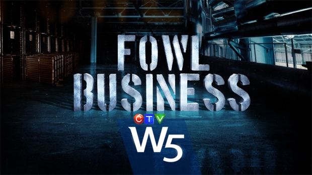 W5 investigates how turkeys get to your plate. Undercover footage from the animal rights group Mercy for Animals reveals the what goes on in the slaughterhouse. It may look cruel -- but as W5 discovered under Canada's laws -- it is entirely legal.