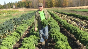 Take a look inside Farmhouse Garden Organics in Uxbridge, Ont.  and the work Mike Lanigan is doing. (Mike Walker/ CTV Barrie)