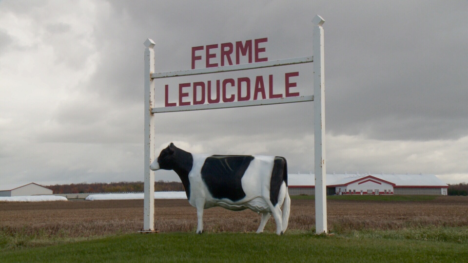 Leducdale Farm 
