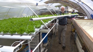 Take a look inside Four Season Greens, a Port Sydney, Ont. micro-greens farm, which has become a sprouting success. (Mike Walker/ CTV Barrie)