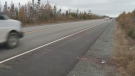 Jessica Cameron died after crashing her car into a deer on this section of highway in East Jeddore, N.S.