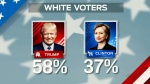Graphic on white voters