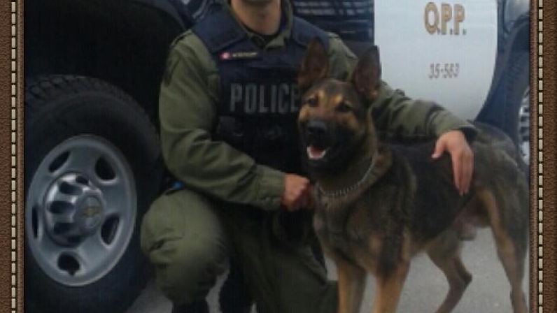 Const. Milan Matovski and Maximus are joining Essex County OPP. (Courtesy OPP)