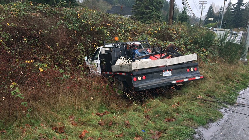 Two men on a mobile crime spree that stretched from Errington to Nanaimo were arrested after they crashed trying to avoid police. Nov. 13, 2016. (Handout)
