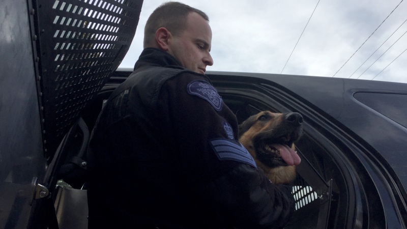Sgt. Eddie Panamaroff pets his dog Kato at the Vic Rempel Yards in Saskatoon on Wednesday, Nov. 16, 2016. (Angelina Irinici/CTV Saskatoon)