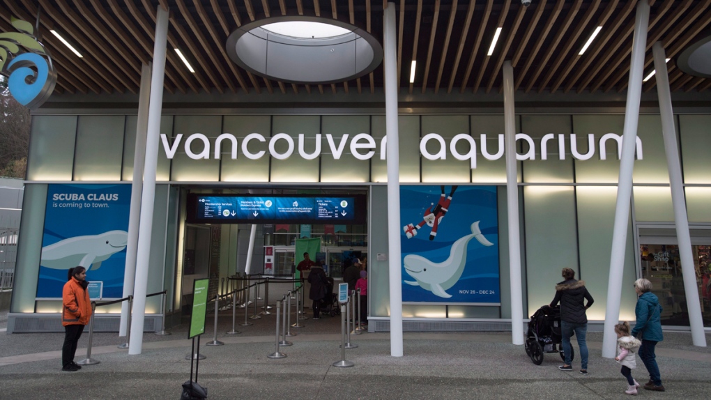 Vancouver Aquarium in Vancouver, B.C.