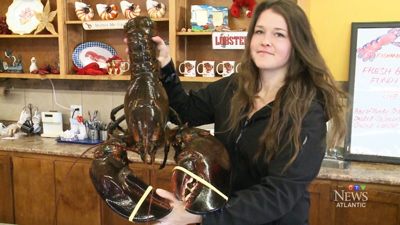 Lobster estimated to be more than 100 years old.