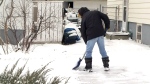 A person is seen shoveling their driveway in this undated file photo.  