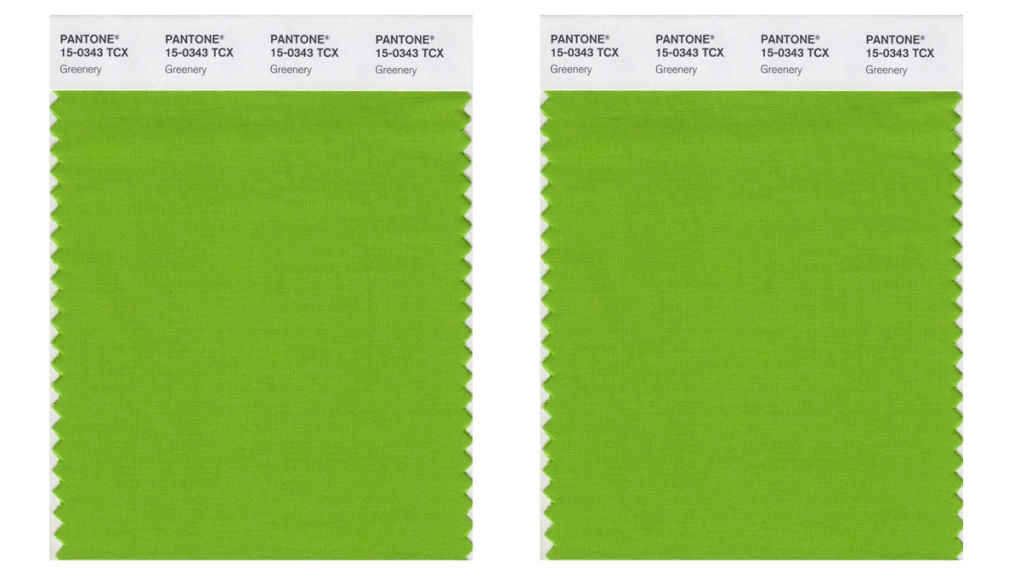Pantone colour swatch called 'greenery'