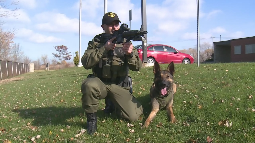 Maximus the police dog