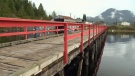 A pier is seen on the Ahousaht First Nation off the coast of Tofino, B.C., in this undated photo. (CTV News)