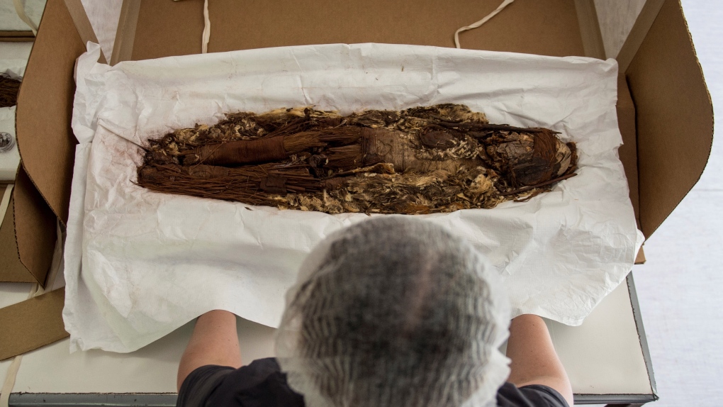 Oldest mummie