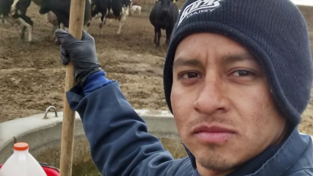 Mexican vets sue Idaho dairy farm