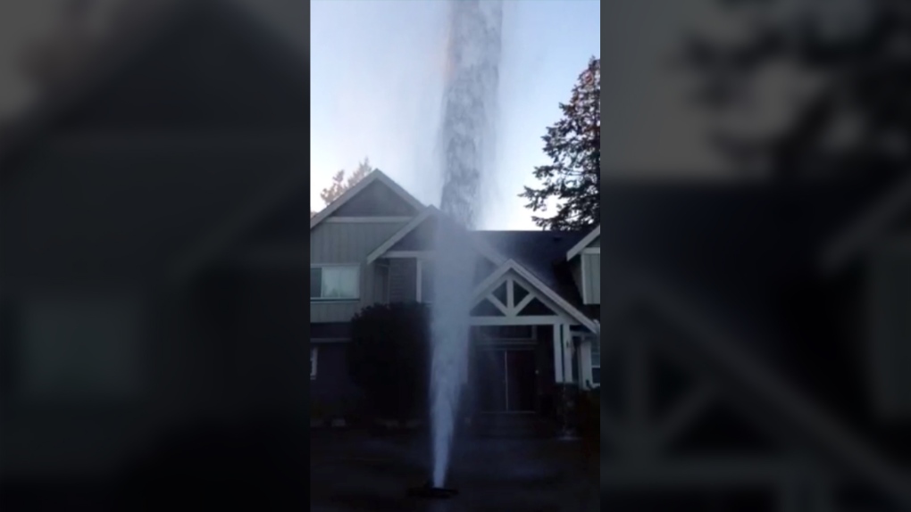 geyser of water