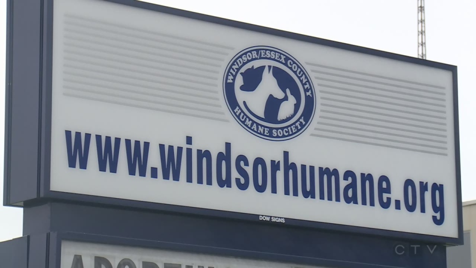 Windsor Humane Society 