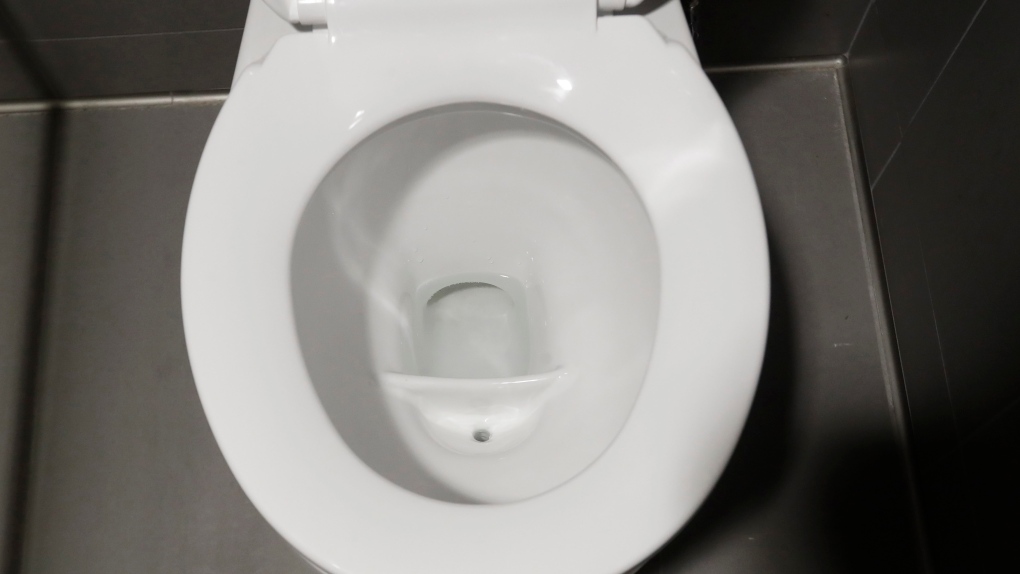 Toilet that diverts urine for fertilizer