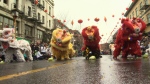 Hundreds of people gathered in Victoria's Chinatown on Sunday to celebrate the second day of the Lunar Year with a traditional lion dance. Jan. 29, 2017 (CTV Vancouver Island)
