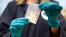 Front-line OPP officers will carry naloxone nasal spray to combat the growing opioid crisis. In this Aug. 9, 2016, file photo, a bag of 4-fluoro isobutyryl fentanyl seized in a drug raid is displayed at the Drug Enforcement Administration (DEA) Special Testing and Research Laboratory in Sterling, Va. (AP Photo/Cliff Owen)